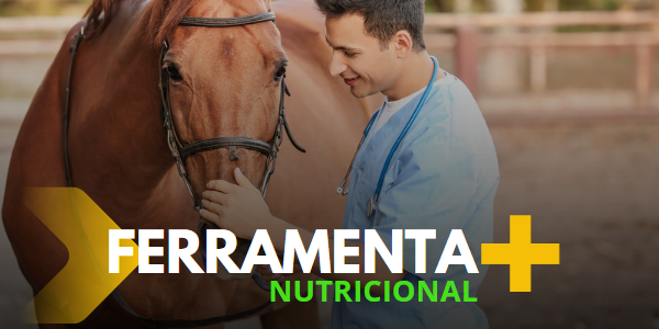 Nutricao Equina - Software