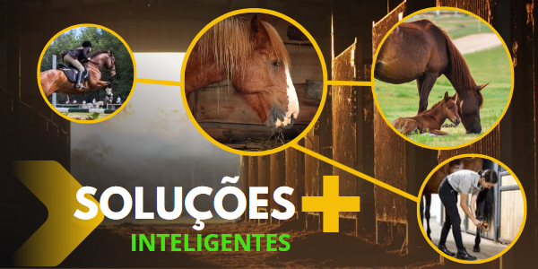 Nutricao Equina - Solucoes Inteligentes